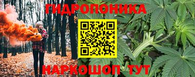 сатива Чапаевск