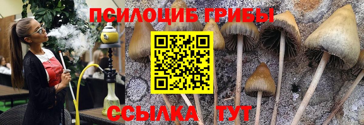 Псилоцибиновые грибы мицелий  дарнет шоп  Богородск  Вход с VPN 