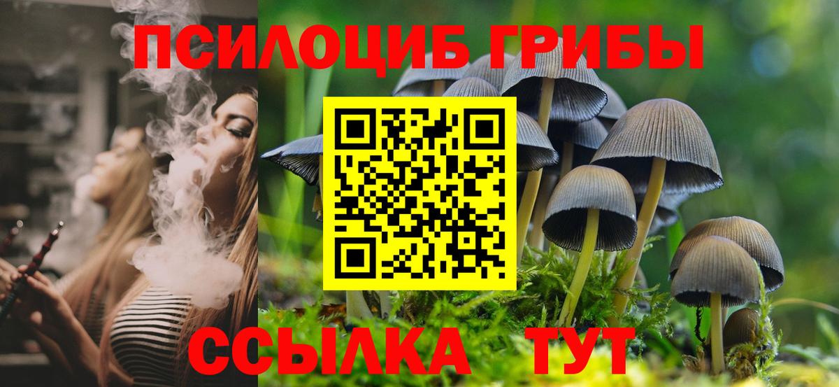 Псилоцибиновые грибы Psilocybe Богородск